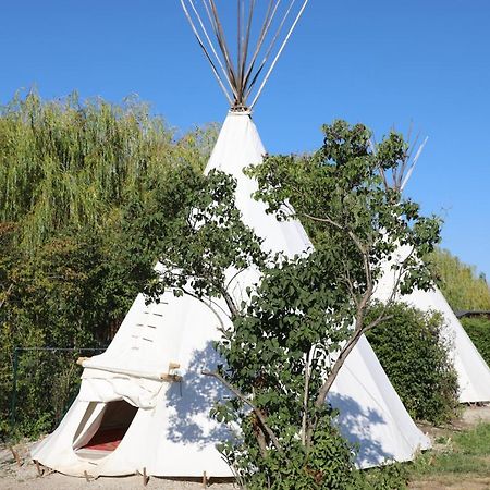 Storchencamp Gaestehaus Rust Zewnętrze zdjęcie
